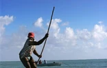 Image de pêche à la senne à l'île Rodrigues