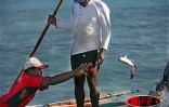 Image de pêche à la senne à l'île Rodrigues
