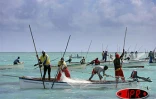 Image de pêche à la senne à l'île Rodrigues