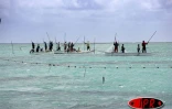 Image de pêche à la senne à l'île Rodrigues