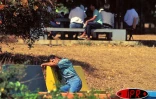 Mercredi 23 novembre 2005 -

Les associations RIVE, ARPS et SID'AVENTURE lancent une campagne contre la discrimination à l'encontre des victimes du SIDA
