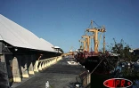 Campagne sucrière 2003

Le silo à sucre du Port