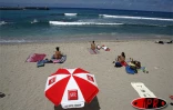 Sobres, exubérants, démonstratifs, discrets, les parasols fleurissent partout sur les plages