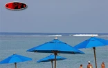 Sobres, exubérants, démonstratifs, discrets, les parasols fleurissent partout sur les plages