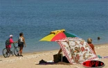 Sobres, exubérants, démonstratifs, discrets, les parasols fleurissent partout sur les plages