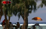 Sobres, exubérants, démonstratifs, discrets, les parasols fleurissent partout sur les plages