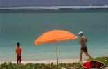 Sobres, exubérants, démonstratifs, discrets, les parasols fleurissent partout sur les plages
