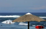 Sobres, exubérants, démonstratifs, discrets, les parasols fleurissent partout sur les plages