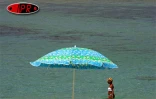 Sobres, exubérants, démonstratifs, discrets, les parasols fleurissent partout sur les plages