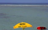 Sobres, exubérants, démonstratifs, discrets, les parasols fleurissent partout sur les plages