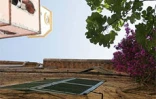 Image de Saint-Tropez, un petit village provençal devenu célèbre