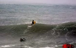 Bravant le danger, des surfeurs ont profité de la forte houle provoqué par le  cyclone tropical Ando, qui a frôlé La Réunion le samedi 6 janvier 2001, pour surfer à Roches Noires (Ouest). Ils ont été interpellés par les gendarmes à leur sortie de l'eau
