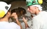 Mardi 29 août 2006 -

Le tunnel sous le cap Lahoussay vient d'être percé. Il s'agit de l'un des ouvrages les spectaculaires de la future route des Tamarins