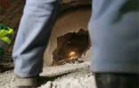 Mardi 29 août 2006 -

Le tunnel sous le cap Lahoussay vient d'être percé. Il s'agit de l'un des ouvrages les spectaculaires de la future route des Tamarins