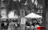 Dimanche 10 avril 2005 -

La fête tangue à la Grande Chaloupe a été un succès