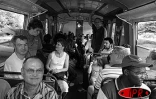 Dimanche 10 avril 2005 -

La fête tangue à la Grande Chaloupe a été un succès