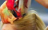 Le dimanche 21 juillet 2002 au Port (Ouest) lors Trophée 2002 de la coiffure organisé par le syndicat départemental des professionnels de la coiffure