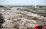 Dimanche 5 mars 2006 - Tempête Diwa

La rivière des Galets (Ouest) est en crue