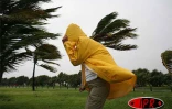 Dimanche 5 mars 2006 - Tempête Diwa

Au Port, les rafales de vent ont atteint les 100 km/h