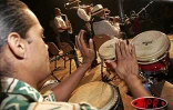Mardi 10 mai 2005 -

Le coup d'envoi  de Leu Tempo Festival a été donné au Séchoir à Piton Saint-Leu