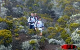 Lundi15 septembre 2003 -
La deuxième journée du raid Réunion Terre a mis rude épreuve le physique et le moral de plusieurs compétiteurs