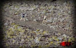 Les concurrents du Grand raid 2002 lors de leur passage au Piton Textor sur la route du volcan
