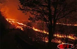 Lundi 16 avril 2007 -

Nuit volcanique au Tremblet (Saint-Philippe)