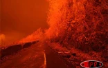 Lundi 16 avril 2007 -

Nuit volcanique au Tremblet (Saint-Philippe)