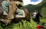 La Réunion à cheval