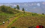 À la Réunion, les amateurs de vélo tout-terrain dispose d'un terrain de jeu exceptionnel. Avec son relief accidenté, l'Île propose une bonne dizaine de parcours différents