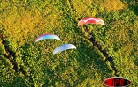 Image de parapente au-dessus de La Réunion
Photo Nicolas Villeneuve