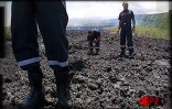 16 janvier 2002. le fleuve de lave se tarit brusquement. C'est la fin de l'éruption