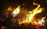 Éruption de janvier 2002