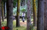 À La Réunion, les amateurs de vélo tout-terrain disposent d'un terrain de jeu exceptionnel. Avec son relief accidenté, l'Île propose une bonne dizaine de parcours différents