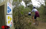 À La Réunion, les amateurs de vélo tout-terrain disposent d'un terrain de jeu exceptionnel. Avec son relief accidenté, l'Île propose une bonne dizaine de parcours différents