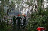 Lundi 30 août 2004 - 

Images volcaniques