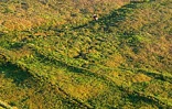 Image de parapente au-dessus de La Réunion
Photo Nicolas Villeneuve