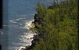 16 janvier 2002. le fleuve de lave se tarit brusquement. C'est la fin de l'éruption