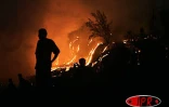 Jeudi 26 août 2004

Féerie de lave s'unissant à l'océan