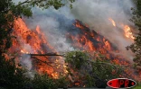 Éruption au Piton de la Fournaise