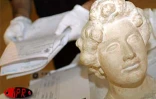 Après plus d'un an de périple à travers le monde, la collection Amboise Vollard est revenu dans sa terre d'adoption, La Réunion en février 2001. La collection est abritée par le musée Léon Dierx (Saint-Denis)