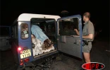 Vendredi 25 février 2005


La lave a traversé la RN 2 et se jette dans la mer