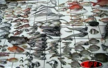 Lundi 9 avril 2007 -

Des centaines de poissons morts, dont plusieurs d'espèces inconnues, ont été trouvés au large de Saint-Philippe dans la zone où la lave se jette dans l'océan