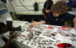 Lundi 9 avril 2007 -

Des centaines de poissons morts, dont plusieurs d'espèces inconnues, ont été trouvés au large de Saint-Philippe dans la zone où la lave se jette dans l'océan