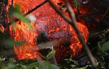 Dimanche 22 août 2004 - 

La lave est arrivée sur la route vers 15 heures