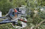 AFP