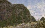 grand raid sentier scout1