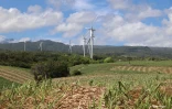 ferme éolienne Sainte-Suzanne