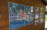 Une exposition itinérante au cœur des zones humides de Saint-Paul