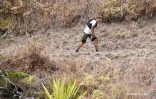 Courtney Dauwalter Grand Raid 2022